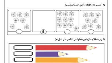اختبار الرياضيات سنة اولى ابتدائي الفصل الاول 2023-2024