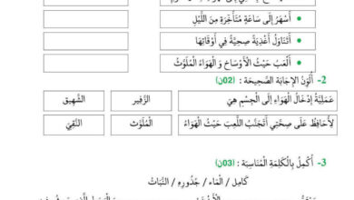اختبار تربية علمية وتكنولوجية للسنة الثانية ابتدائي الفصل الاول للسنة الدراسية 2024-2025