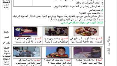 مذكرات التربية العلمية والتكنولوجية للسنة الرابعة ابتدائي