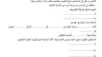 اختبار تربية علمية وتكنولوجية سنة رابعة ابتدائي الفصل الاول مع التصحيح 2023-2024