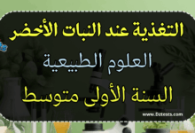 التغذية عند النبات الأخضر - العلوم الطبيعية - السنة الأولى متوسط