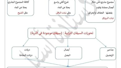 ملخص دروس العلوم الطبيعية الفصل الثاني السنة الثانية متوسط