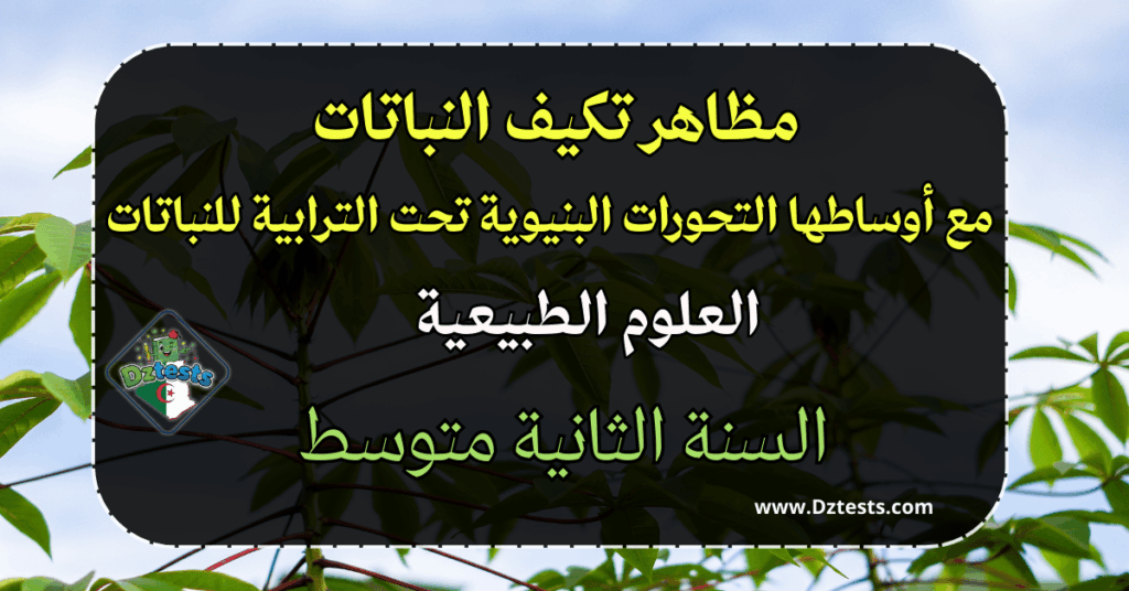 مظاهر تكيف النباتات مع أوساطها التحورات البنيوية تحت الترابية للنباتات - الثانية متوسط