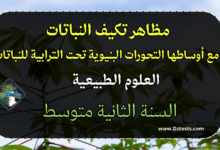 مظاهر تكيف النباتات مع أوساطها التحورات البنيوية تحت الترابية للنباتات - الثانية متوسط