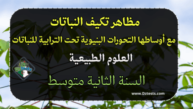 مظاهر تكيف النباتات مع أوساطها التحورات البنيوية تحت الترابية للنباتات - الثانية متوسط