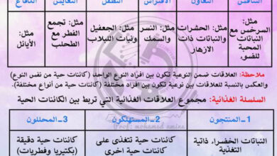 العلاقة القائمة بين العناصر الحية في الوسط الحي - 2 متوسط