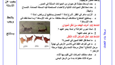 مذكرات المقطع الثاني تربية علمية - السنة الثالثة ابتدائي